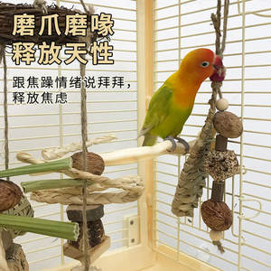 Jouet en <span class=keywords><strong>bois</strong></span> suspendu pour perroquet, pour la <span class=keywords><strong>dentition</strong></span>, l'exercice, soulage l'ennui, <span class=keywords><strong>anneau</strong></span> de balançoire, décoration, ornement de cage à oiseaux - Product Image 5