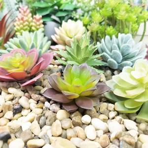 Venta al por mayor Mini <span class=keywords><strong>Cactus</strong></span> Surtido Exterior Interior Decorativo Césped Artificial Suculentas Arreglo Colgante Venta - Product Image 5