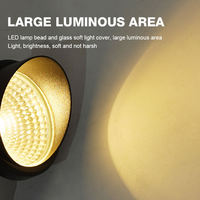 Projecteur LED solaire extérieur 10W pour pelouse, éclairage résistant à l'eau IP65, garantie de 2 ans