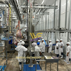 Système de Restraint Automatique en V pour Moutons et Chèvres, Convoyeur d'Étourdissement pour Abattoir de Moutons et Agneaux - Product Image 3