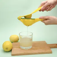 عصارة الليمون والليمون يدوية من الفولاذ المقاوم للصدأ 2 في 1 عالية الجودة ، مصنوعة من الفولاذ المقاوم للصدأ ، فواكه يدوية ، عصارة الليمون والبرتقال