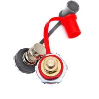 Poteau de chargeur de batterie de type long 250A Lot de 2 matériaux en laiton avec goujons rouges et noirs Borne à vis Application automobile