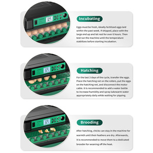 Ac220v DC12V Công suất kép 200 gà trứng lồng ấp máy hoàn toàn tự động độ ẩm - Product Image 6