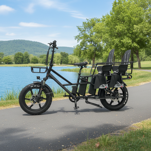 Vélos <span class=keywords><strong>cargo</strong></span> électriques longue portée 48V à double batterie 20 pouces avec sièges pour bébés, fabriqués en usine OEM - Product Image 1