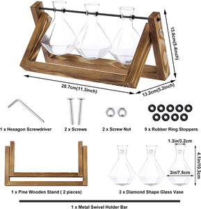 Terrario de Escritorio para Plantas Aéreas con Base de Madera Sólida y Florero de Vidrio para Propagación de Plantas - Product Image 3