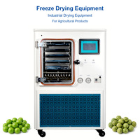 Lyophilisateur commercial de taille moyenne, équipement de séchage par congélation sous vide, machine de lyophilisation de taille moyenne