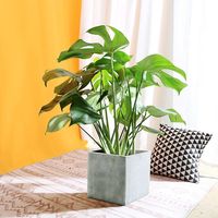 Usine de gros grand blanc intérieur/extérieur pot de ciment plante personnalisable pour le jardin ou la maison à bas prix
