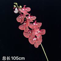 Fleur artificielle Phalaenopsis à 9 têtes en plastique, imprimée en 3D, gaufrée, écologique, pour accessoires de photographie de mariage et décoration intérieure