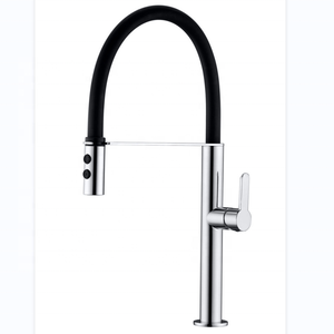 DLSEN marca cucina Spray rubinetto cucina estrarre rubinetti miscelatore per fattoria nordamericano - Product Image 1