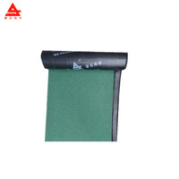 Membrane d'étanchéité pour toiture en bitume modifié SBS/APP de 4 mm, base polyester, surface PE, pour piscine et bassin