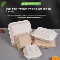 Boîte à lunch jetable biodégradable, boîte à burger, emballage pour tiramisu, vaisselle de transport pour barbecue extérieur et commerce international