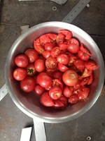 Stérilisateur alimentaire automatique concentré en acier inoxydable haute capacité pour la fabrication de pâte de tomate, de sauces et de ketchup, et le reconditionnement