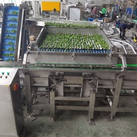 Ligne complète de traitement des cornichons marinés LWT / Machine de transformation des cornichons en conserve, moteur haute efficacité, utilisation facile