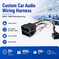 Faisceau de câblage autoradio ISO 16 broches, adaptateur d'alimentation 16 cm pour unité centrale audio