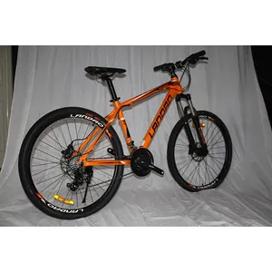 자전거 사이클링 자전거 새로운 디자인 큰 타이어 레오파드 Ebike 저렴한 전기 자전거 CE 성인을위한