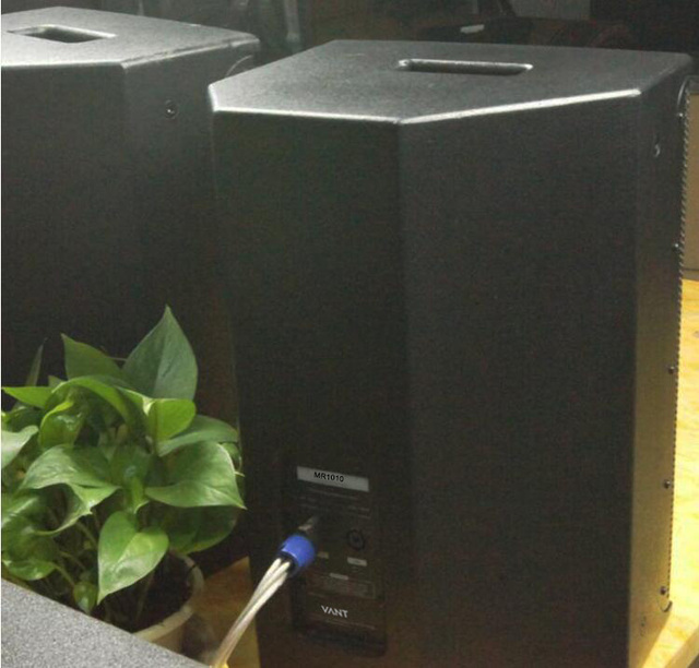 MSR1010 Cinema Hall Sound System Stereo Home High-power Speaker Singing Stage Equipment Professional Audio Video Lighting