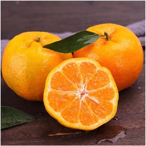 Üst sınıf çin mandarin turuncu düşük fiyatlar organik taze göbek turuncu tatlı taze narenciye mandarin - Product Image 3