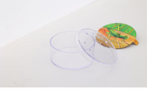 Outils d'expériences scientifiques d'aventure en plein air pour enfants - Loupe transparente, boîte d'observation des insectes - Product Image 6