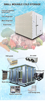 Comercial -30 ℃   Cámara Frigorífica de Ultra Baja Temperatura de 40 pies para Almacenamiento y Conservación Industrial de Alimentos