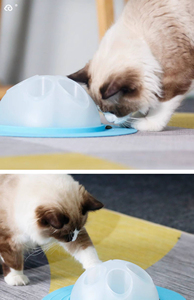 Distributeur de friandises pour chat en silicone transparent, bol interactif, jouet de puzzle à alimentation lente, récipient rond pour collations pour animaux de compagnie pour la maison - Product Image 6