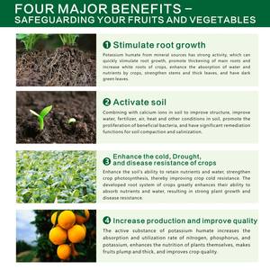 Çin fulvik asit fulvik asit sağlık faydaları Mineral kaynağı potasyum humat gübre - Product Image 5