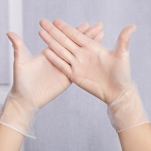 Disposable Pvc Powder Free Gloves 20 Pieces Transparent For Food Processing Kitchen Baking - Product Image 1