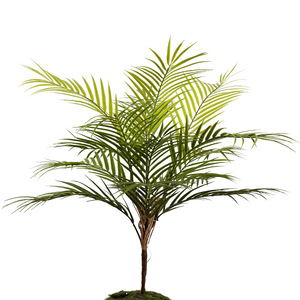 Persian Fern Artificial Plant High Simulation Indoor Decoration Greenery Single Piece Package - Product Image 4