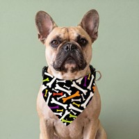 Verstelbare hondenbandana-halsband met D-ring, diverse schattige printpatronen, zachte driehoekige hondensjaal voor honden in de maten P, S, M, L, dagelijkse outfit