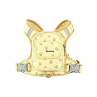 Sac à dos respirant en maille avec motif de patte imprimé en 3D, en polyester, pour chien, avec service OEM/ODM pour la promenade en extérieur