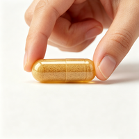 Complément de Fisetine Haute Pureté 500mg Marque Blanche, 120 Capsules Végétales Antioxydantes pour un Vieillissement Sain et le Renouvellement Cellulaire