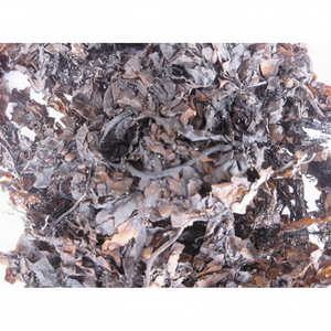 Alga Marina Sargassum Seca al Sol Directo de Fábrica, Pedido al por Mayor, Precio de Mayoreo, Vietnam - Product Image 1