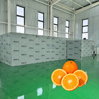 Warmtepomp fruitdroger voor sinaasappels, droger voor verse navelbessen, droger voor sinaasappelschijfjes