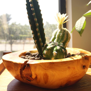 Maceta de madera hecha a mano, estilo rústico, para el hogar, bandeja de almacenamiento para exhibición de plantas de escritorio, cuenco multiusos - Product Image 1