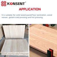 Lem Kayu Dua Komponen Tahan Air D4 Heavy-Duty EPI untuk Kayu Birch, Beech, dan Karet