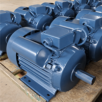 Moteur électrique monophasé à induction AC BIODTE 220V 1HP à 5.5HP 50/60Hz à couple élevé série YL pour pompes à eau et machines