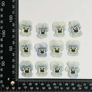 Pansy fragante en relieve esquina planta espécimen <span class=keywords><strong>flores</strong></span> secas y plantas marcos de fotos conchas de teléfono móvil disponibilidad al por mayor - Product Image 2