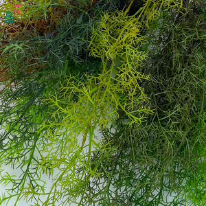 Plante artificielle en soie de corail pour décoration intérieure d'hôtel, style luxueux - Product Image 1