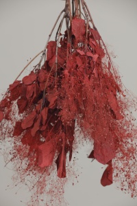 Flores de Cotinus Coggygria Scop Preservadas al por Mayor Moon Yu, Color Personalizado, para el Hogar, Año Nuevo - Product Image 4