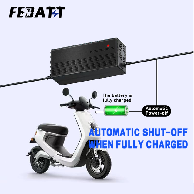 Customized CE Rohs Portability Waterproof 36V 48V 60V 72V 84V 25a 20a 15a 12a 10a 5a Li Ion Lifepo4 Battery Charger for E-bike