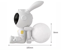 Veilleuse de projection d'étoile de lune de lapin
