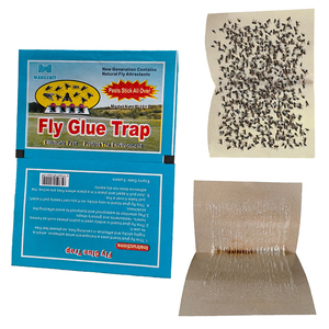 Piège à mouches écologique en papier collant à vente chaude, planche collante à haute efficacité, piège à <span class=keywords><strong>punaises</strong></span> <span class=keywords><strong>de</strong></span> <span class=keywords><strong>lit</strong></span>, autocollant <span class=keywords><strong>anti</strong></span>-parasites - Product Image 2