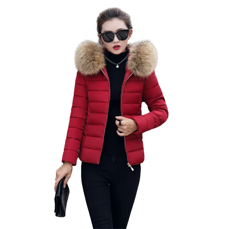 Mulheres Casaco Leve Inverno Mulher Jaqueta Leve Feminino Jaqueta Completa Pena Ultra Fina Down Jacket Manga Longa