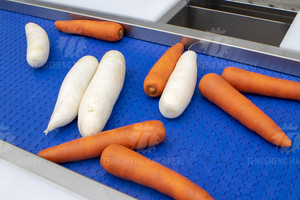 Kaliteli çift katmanlı sıralama konveyör/toplama tablosu meyve sebze paslanmaz çelik sıralama tablosu - Product Image 6