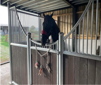 Écuries portables pour chevaux de style européen, en bambou haute densité, sur mesure, 13x13 pieds, maison temporaire pour chevaux, garantie 2 ans Seepoem