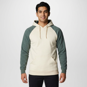 Sweat à capuche pour homme en molleton lourd à coupe classique, 70% coton, 30% polyester recyclé, sweat à capuche 100% coton - Product Image 1