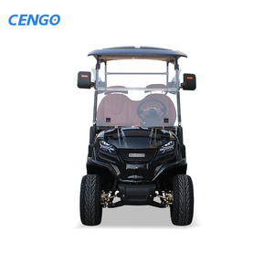 Voiturette de golf personnalisable 2 places 48V homologuée pour la route à vendre – Voiturette de golf 2 places à essence - Product Image 3