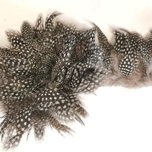 Plumas <span class=keywords><strong>de</strong></span> Gallina <span class=keywords><strong>de</strong></span> <span class=keywords><strong>Guinea</strong></span> Naturales al por Mayor para Atar Moscas, Manualidades, Joyería, Decoraciones <span class=keywords><strong>de</strong></span> Moda - Product Image 2