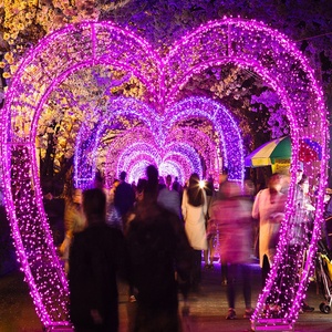 Christmas Decoration <strong>Light</strong> RGB Large Time Tunnel LED IP65 Waterproof for Parks Garden Outdoor <strong>Spaces</strong> Decorative <strong>Light</strong> - Product Image 4