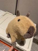 2026 UK Peluche Capybara Clyde Version Haute Style Jelly, Super Douce, en Coton PP, Lavée, avec Base Lestée et Texture Shaggy, pour le Soulagement du Stress