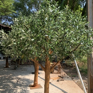 Nuevo Modelo 2026, <span class=keywords><strong>Olivo</strong></span> Artificial de Fibra de Vidrio de Alta Calidad para Uso en Interiores/Exteriores, para Centros Comerciales, Restaurantes, Año Nuevo - Product Image 6